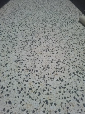 Exposed Aggregate photo 6
